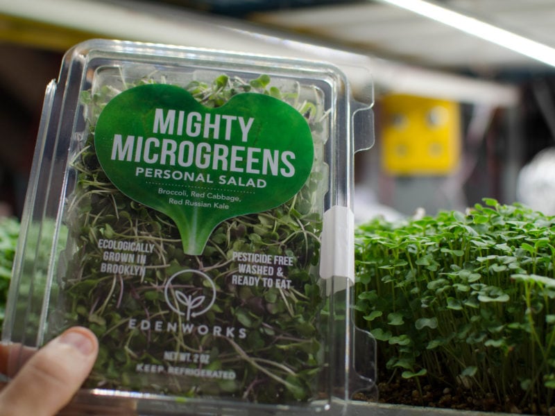 Edenworks Mighty Microgreens