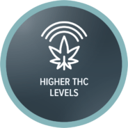 Higher THC Levels