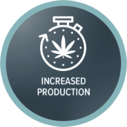 Increased Prodution - Cannabis