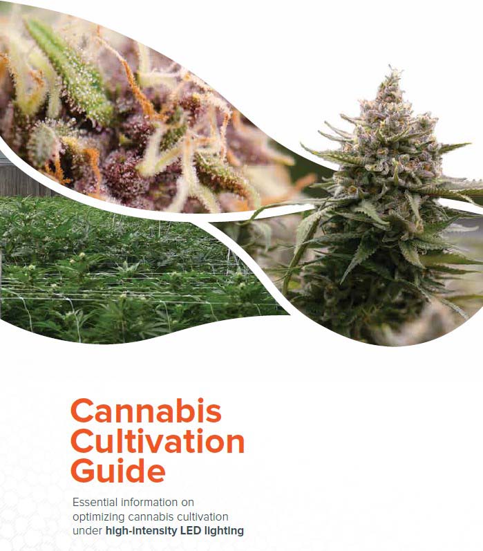Cultivation guide for Cannabis in a commercial indoor or greenhouse facility