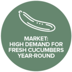 Market-Cucumber-Demand@2x-8