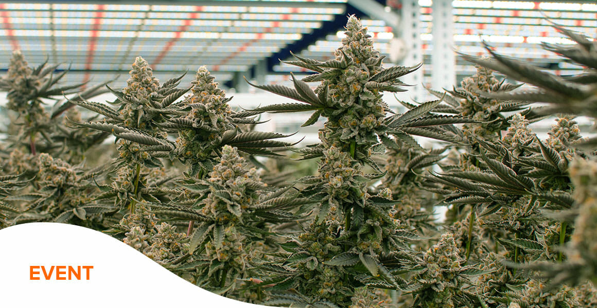 Benzinga Cannabis Capital Comference