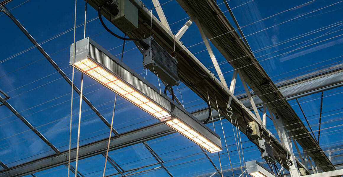 choose the right leds for greenhouse